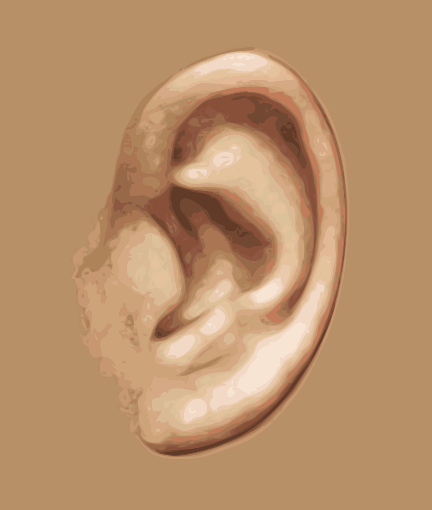Military Earplug Hearing Loss
