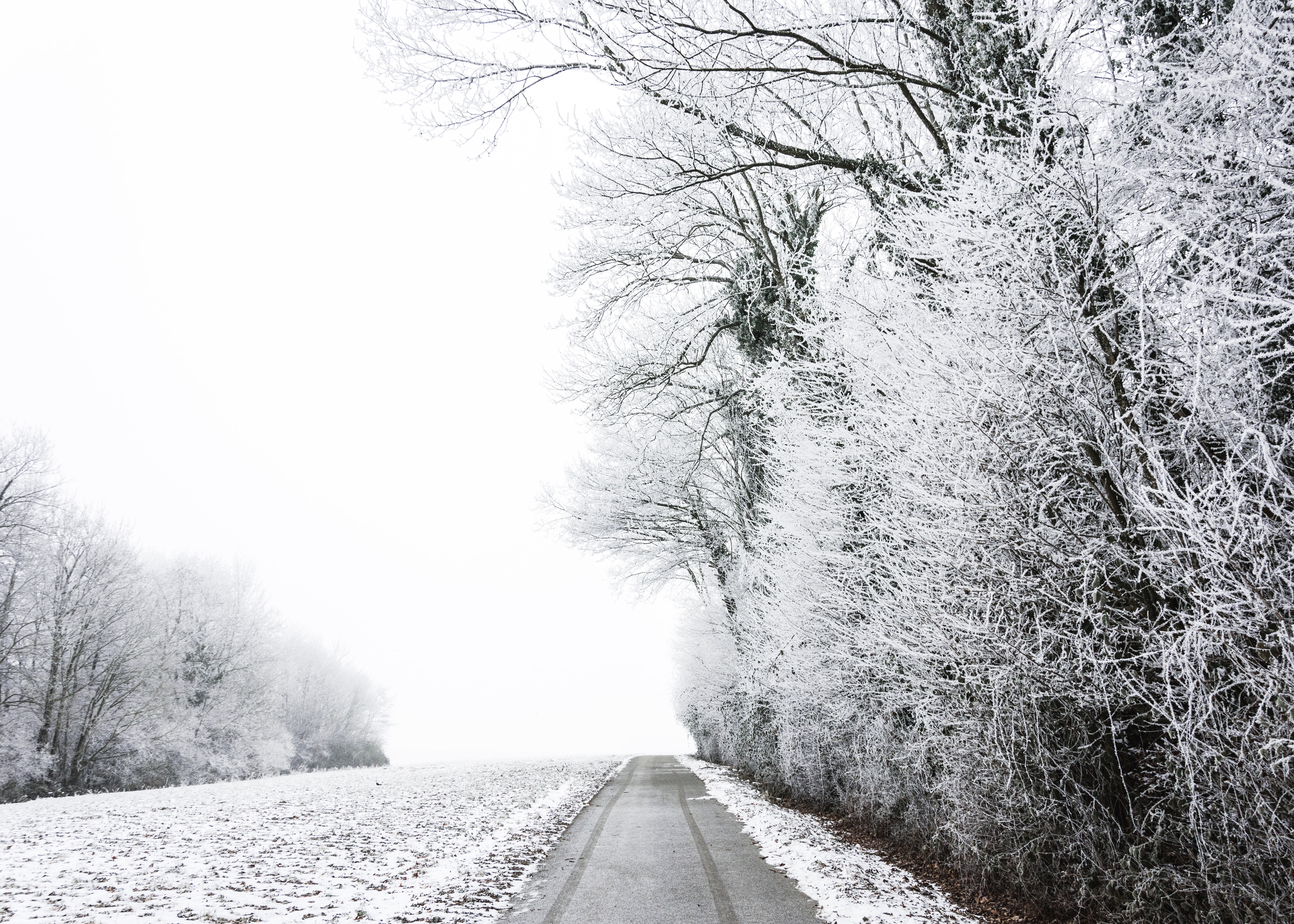 Tips for Driving on Black Ice
