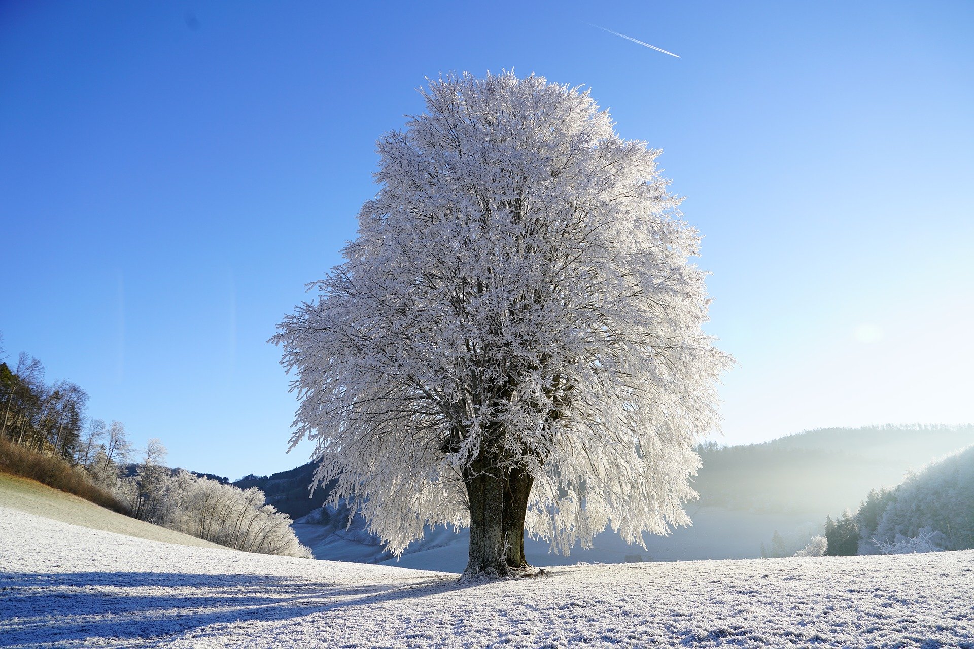 Most Common Winter Injuries