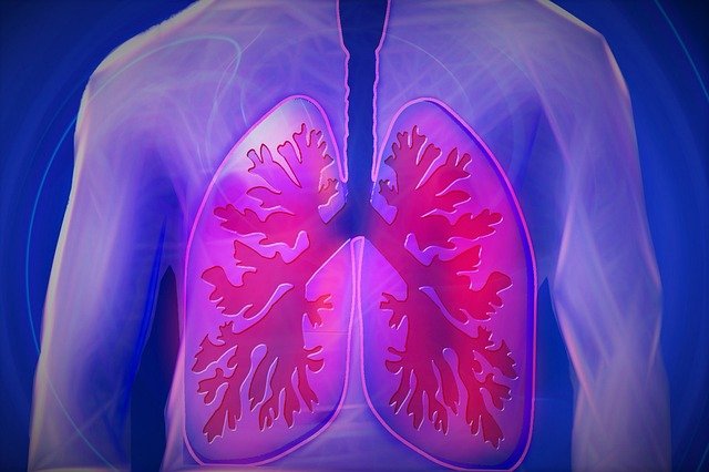 lungs can be seriously damaged by faulty CPAP machines