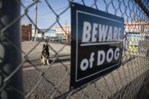 Dog Attack Lawyer Memphis, TN